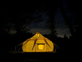 Nuit étoilée en pleine Nature